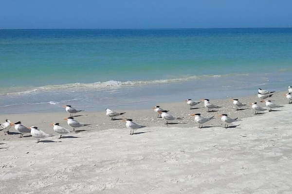 NĂ€ra stranden, solstolar och strandhanddukar