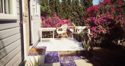 Beach House