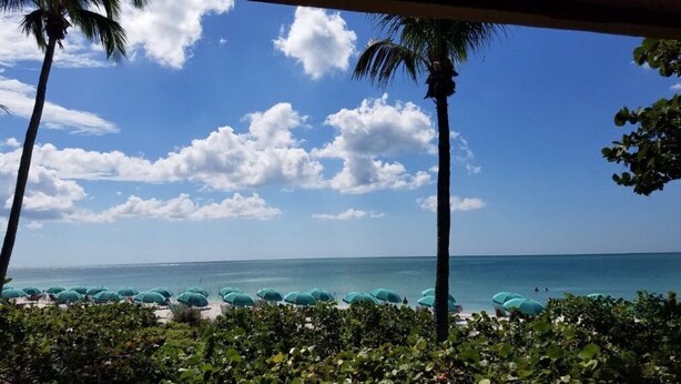 Blick auf einen Strand mit Palmen und Sonnenschirmen.