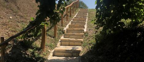 Overnatningsstedets område