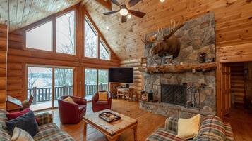 Smart TV, chimenea, reproductor de DVD