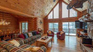 Smart TV, chimenea, reproductor de DVD