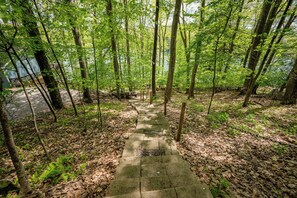 A concrete pathway leading through a forested area with a body of water in the background.