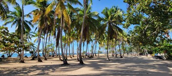A Private Oasis in Las Terrenas with Rooftop Relaxing, Dining, or Star Gazing