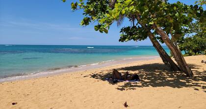 A Private Oasis in Las Terrenas with Rooftop Relaxing, Dining, or Star Gazing