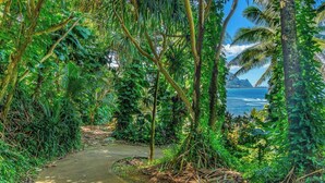 A narrow concrete path surrounded by dense tropical foliage leading to a body of water. - Panoramic Breathtaking Ocean-Sunset-Bali Hai Views A/C + Surf Crashing Below! (Princeville)