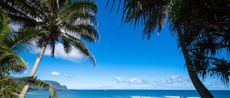 Camastros y toallas de playa