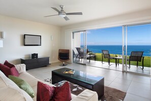 Smart TV, DVD player, books, video library