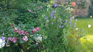 A garden with various flowering plants and a stone wall in the background. - Charming 19th-Century Farmhouse near Loire Gorges, Cozy Interior, Baby Equipment, Optional Services (Aurec-sur-Loire)
