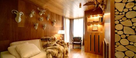 Smart TV, fireplace, video library