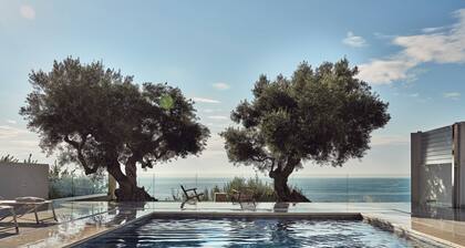 Villa with pool on the edge of the hill