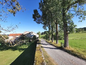 A rural road with a stone building on the left and trees on the right.
