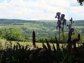 Une vue panoramique sur un paysage comprenant une vallée, des bâtiments éloignés et des fleurs violettes au premier plan.
