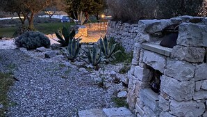 Un giardino con un muro in pietra, un vialetto sterrato e diverse piante.