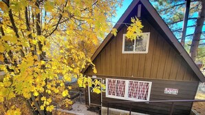 Une cabane en bois dotée d’une lucarne, entourée du feuillage automnal.