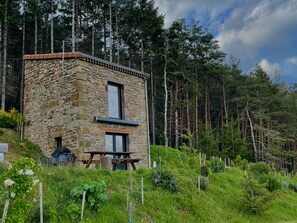 Exterior - Renovated vineyard house in Langeac, nature and hiking (Langeac)