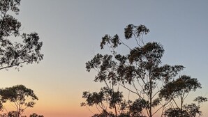 Un hamac dans une zone herbeuse, avec des arbres et des collines en arrière-plan.