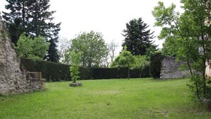 Une cour arrière verdoyante avec un mur de pierres, un petit arbre et une haie.