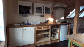 Frigorífico, microondas, horno y placa de cocina