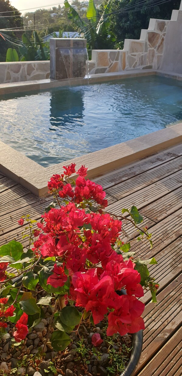 Outdoor pool, a heated pool