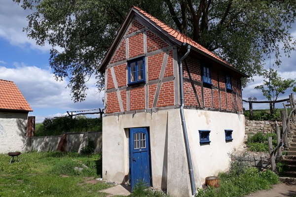 Esterni