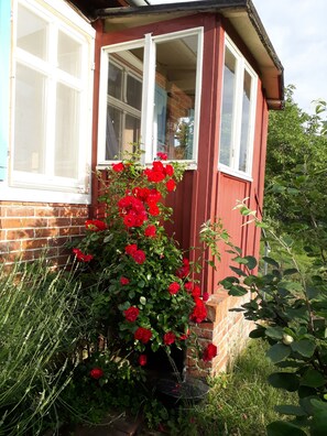 Detalle exterior