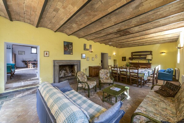 TV, fireplace, books