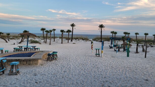 Een strand met zand, palmbomen en een blauwe lucht.