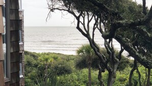 Vista del océano desde un edificio con fachada de madera, rodeado de exuberante vegetación y árboles.