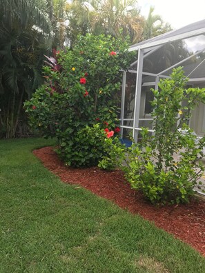 Stroll through the serene garden, surrounded by a variety of vibrant flowers and lush greenery.