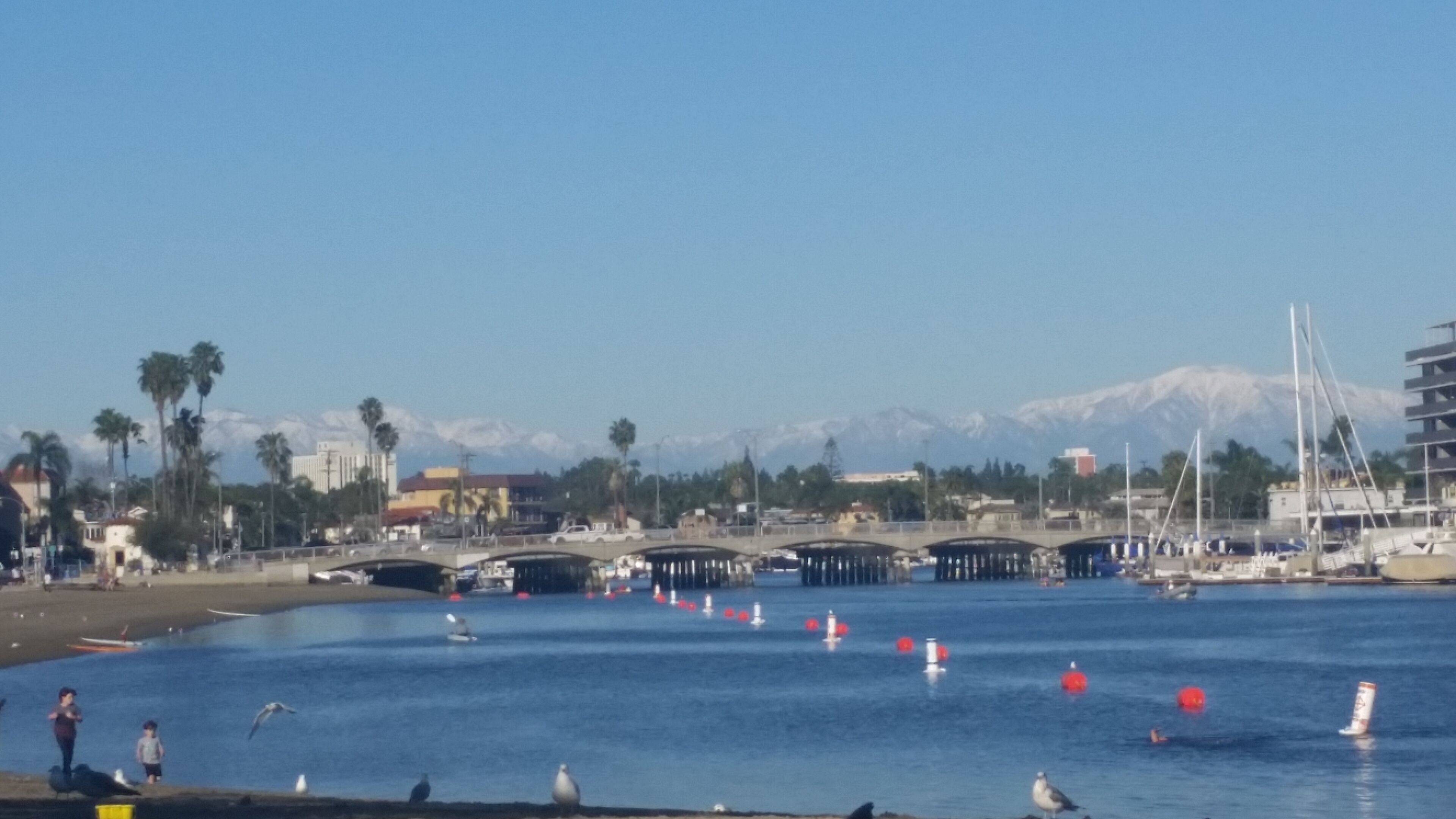 Corporate Beach Bungalow