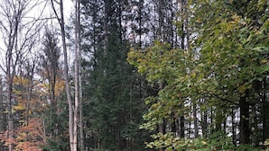 Pyöreä ryhmä Adirondack-tyylisiä puutarhatuoleja kivestä rakennetun nuotiopaikan ympärillä metsäisellä alueella.