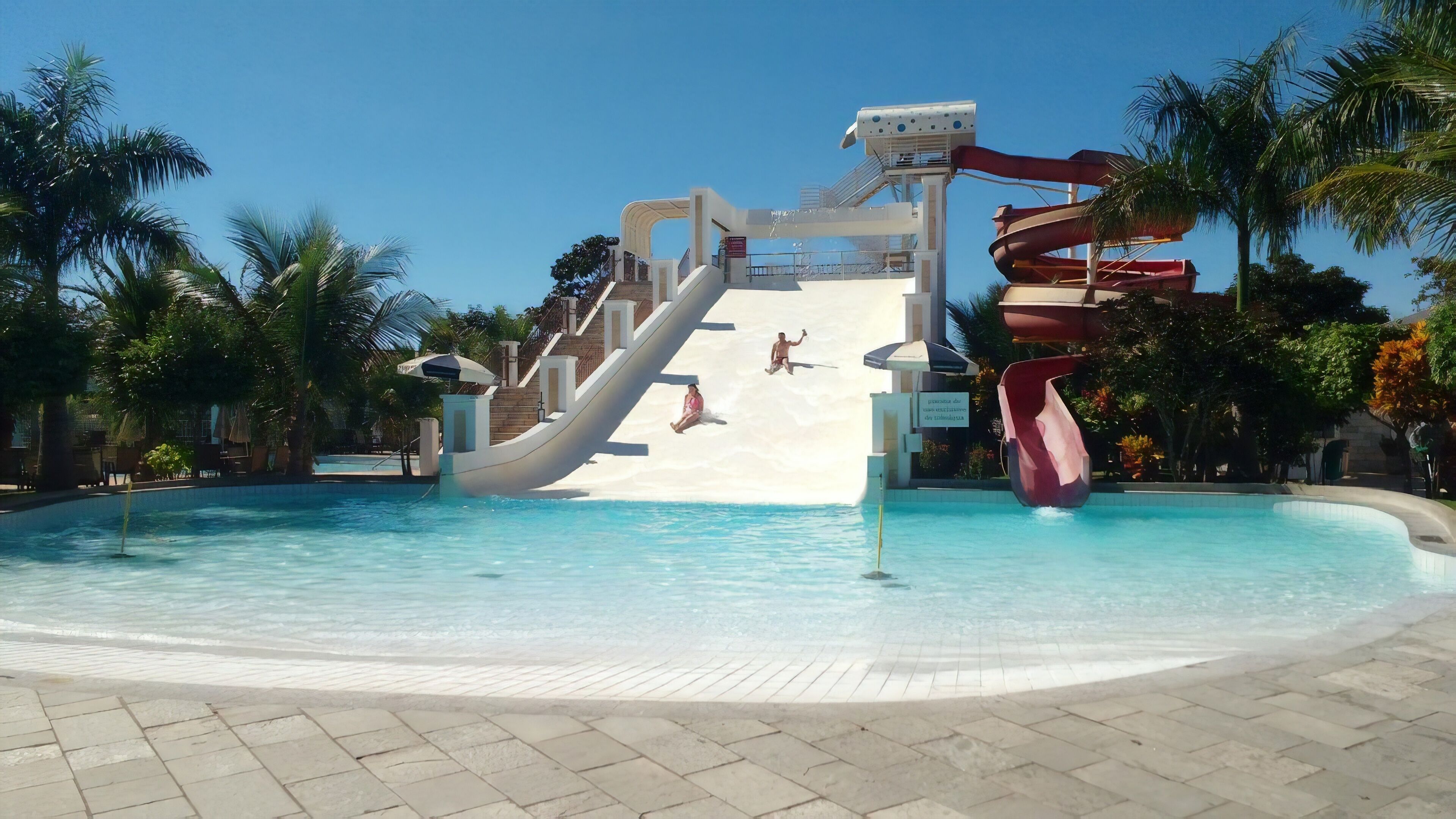 A water park with a large pool, a water slide, and palm trees.