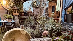 A rustic outdoor setting with a wooden stump, a large pot, and various plants. - Vintage Home 55 (Eisenach)