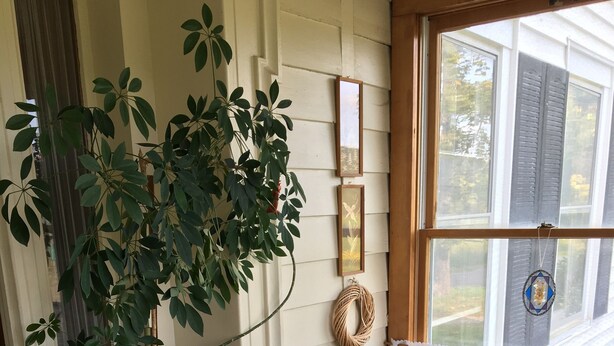 A wicker sofa with floral upholstery, a potted plant, and a window with a view of trees. - Cooperstown Dreams Park Baseball Rental All Star Village Catskills Oneonta (Mount Vision)
