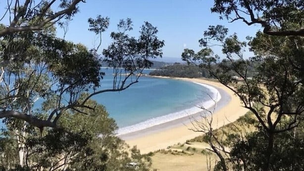 Un paysage côtier avec une plage de sable et une mer bleue et limpide, le tout bordé d’arbres.