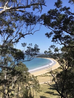 Playa en los alrededores y camastros 