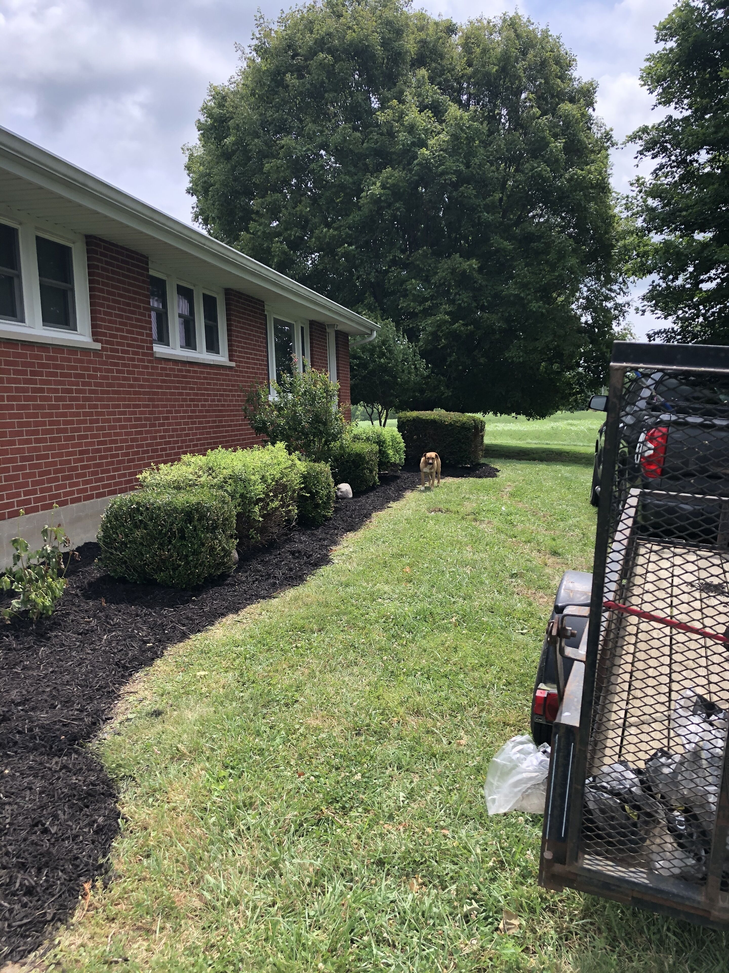 Terrein van de accommodatie