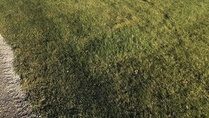Una casa in mattoni rossi con tetto spiovente, circondata da un prato curato e due alberi spogliati.