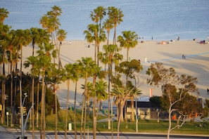 A beach with palm trees and a few people.