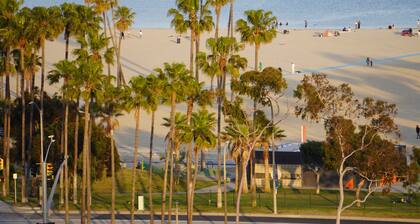 Ocean Views/Downtown/ConventionCenter/Chic Hi-Rise