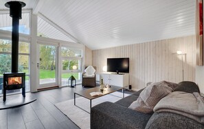 Fernseher, Kamin