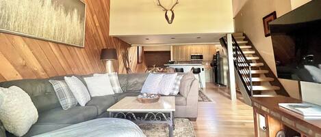 Smart TV, chimenea, reproductor de DVD y libros