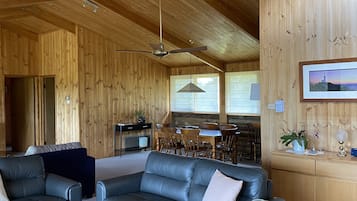 TV, fireplace, books