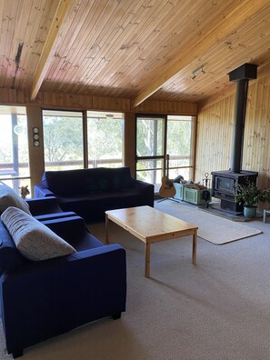 TV, fireplace, books - Bush Farm overlooking quiet valley  (Clarence Town)