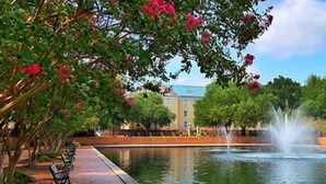 A serene park with a fountain, benches, and lush greenery.