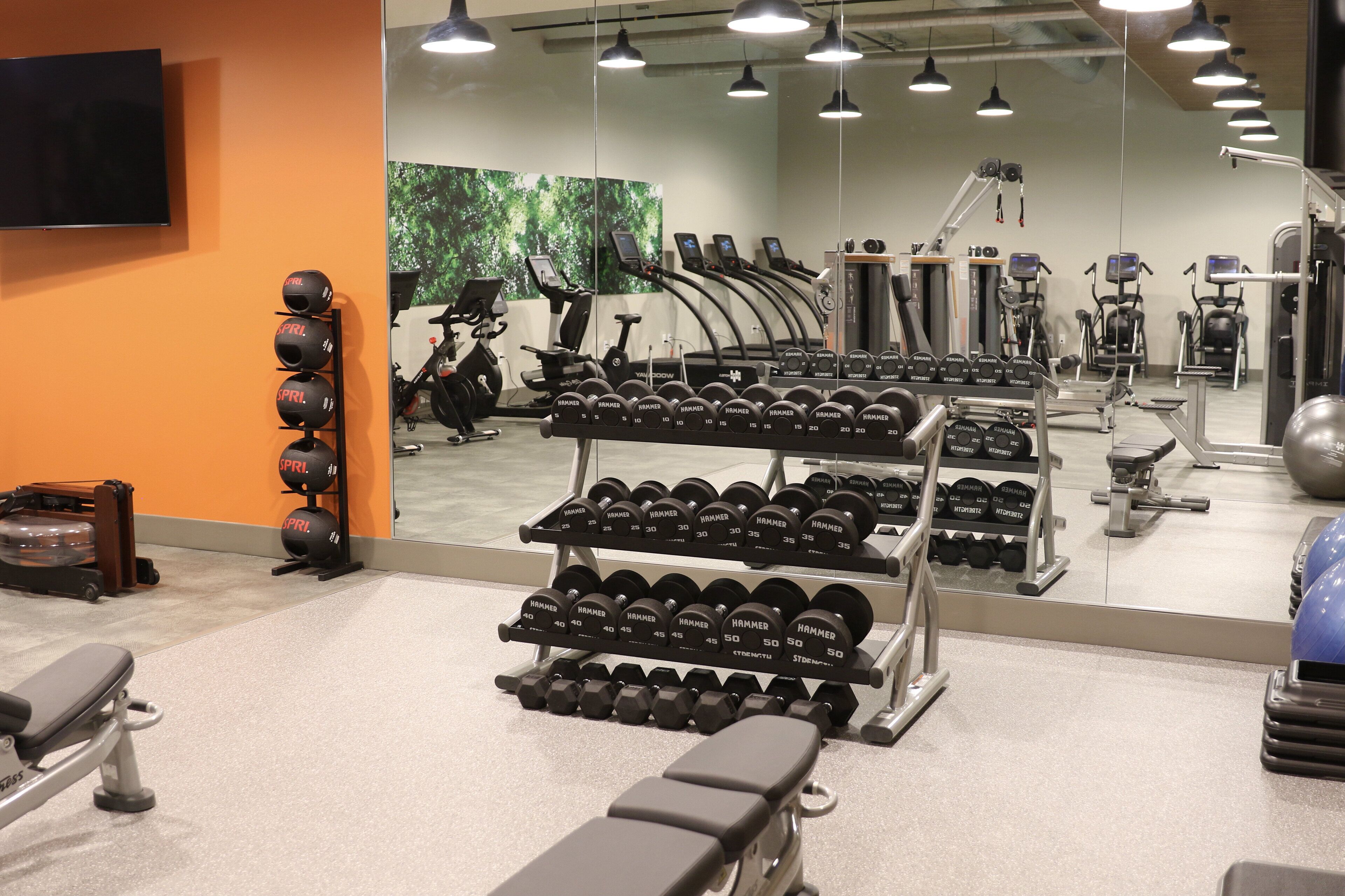 A gym with various exercise equipment, including treadmills, stationary bikes, and dumbbells.