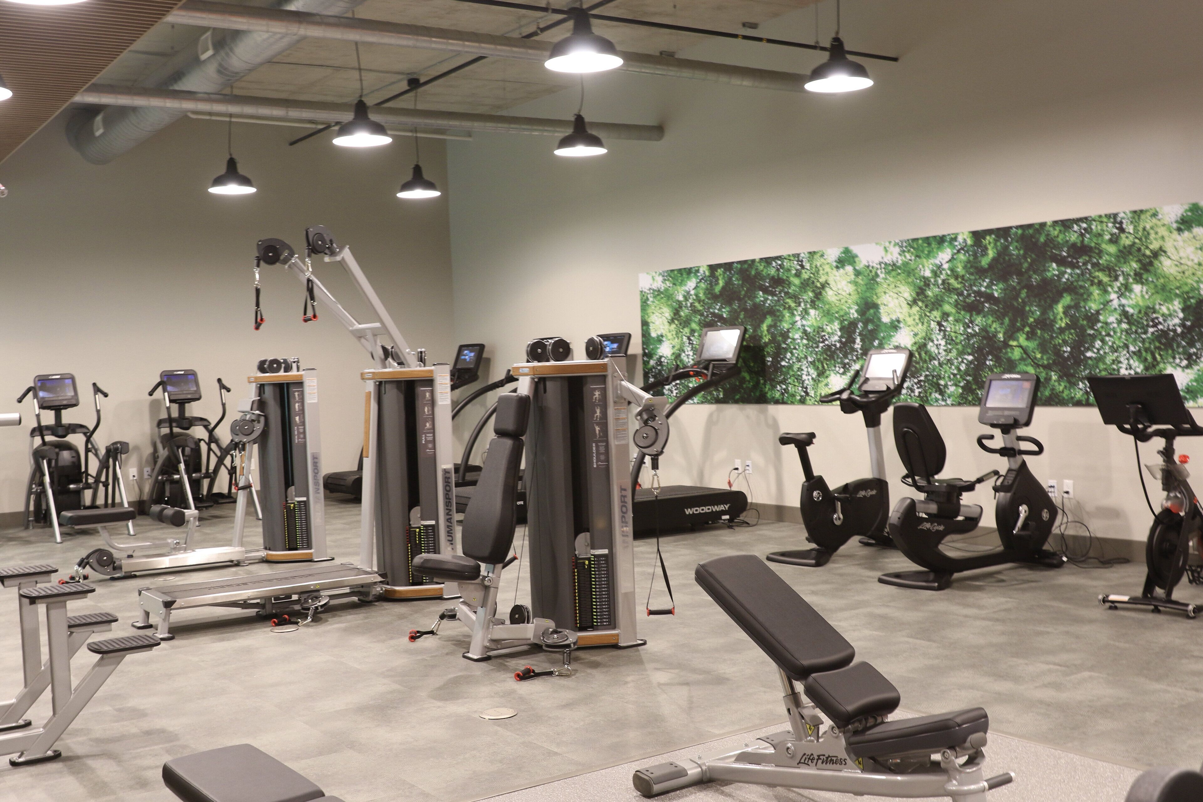 Uma academia com diversos equipamentos de exercício, incluindo esteiras, bicicletas ergométricas e aparelhos de musculação.