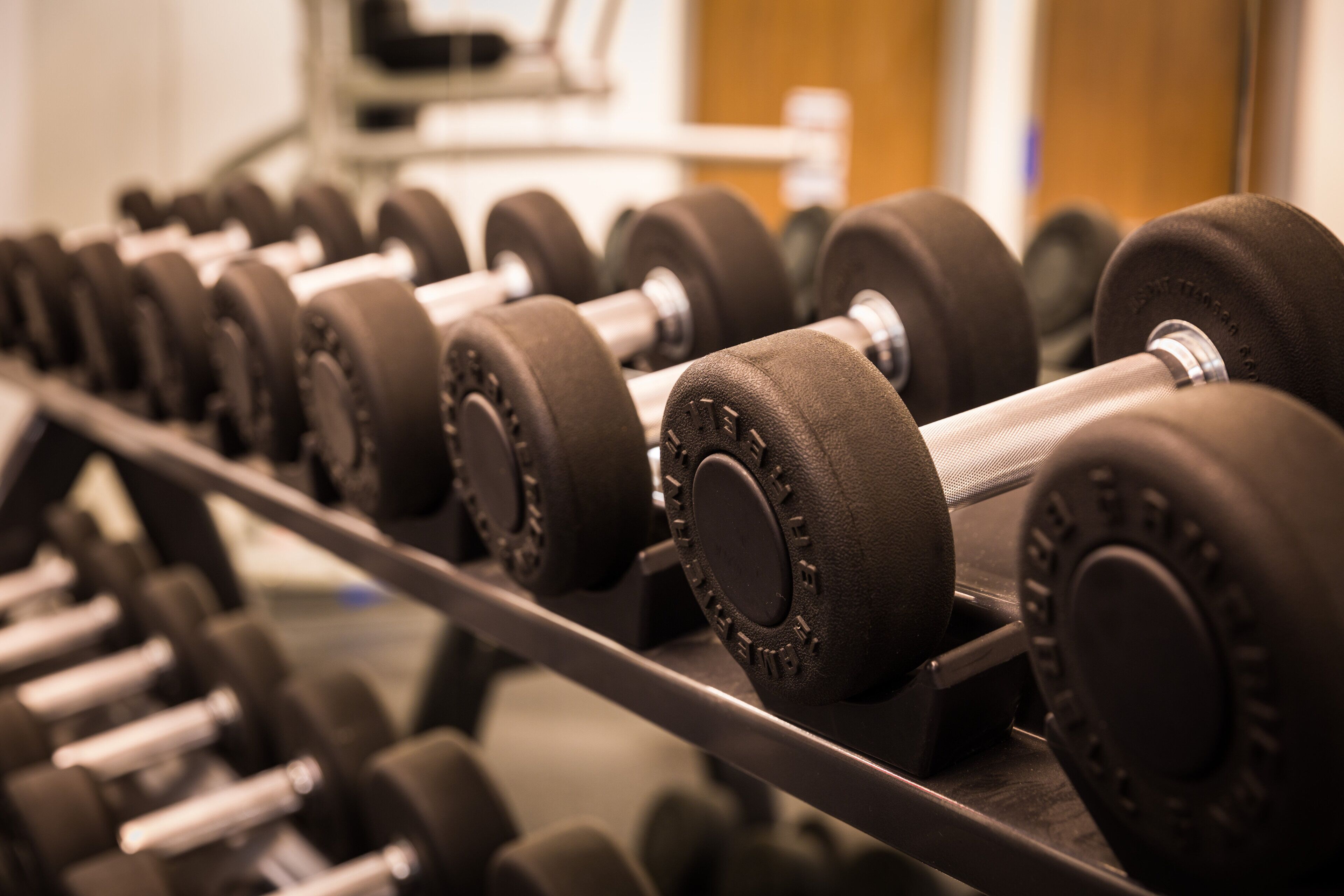 A row of black dumbbells on a rack.
