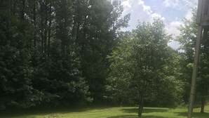 A grassy park area with trees and a wooden structure.